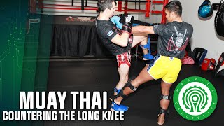 Muay Thai Tricks - Countering the Long Knee with Cookie Lokwichit