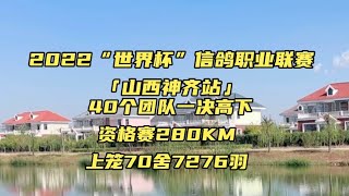 【2022“世界杯”山西神齐站】第一关280KM资格赛，山西神齐赛鸽俱乐部