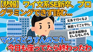 【2ch就活スレ】ワイ文系SE新入社員プログラミングできず詰む【ゆっくり解説】