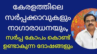 കേരളത്തിലെ സർപ്പക്കാവുകളും നാഗാരാധനയും,സർപ്പ കോപം കൊണ്ട് ഉണ്ടാകുന്ന ദോഷങ്ങളും