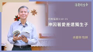 [活潑的生命] 20250109 神因著愛差遣獨生子(約翰福音3:10~21)