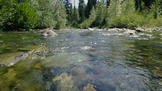Protecting Habitats | Technology & Tradition