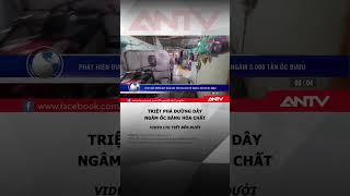 Rùng mình về công thức ngâm 3.000 tấn ốc vào 500 tấn hóa chất #antv #shorts #thucphamban
