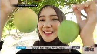 Halal Living - Kisah Dari Kota Seribu Mangga