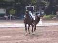 Regent & Hickey I-Kur 2007 NAT'L