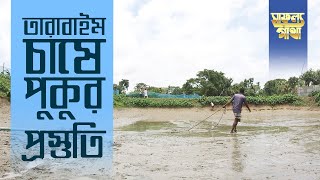 সাফল্য গাঁথা পর্ব ৫ঃ তারাবাইম চাষে পুকুর প্রস্তুতি