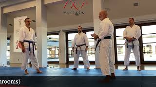 November 2024 Seminar- TKI/DAK Dojo Stara Wiess