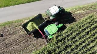 Maishäckseln 2021 Corn harvest