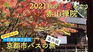 秋の京都　紅葉めぐり2021 #2 赤山禅院