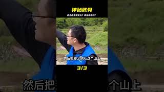 湖北武當山挖出神秘骸骨，好似傳說龍頭，傳說中的龍真的存在嗎？ #紀中百事 #古董 #開棺 #古墓 #考古發現