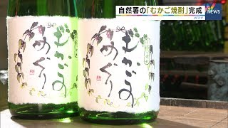 自然薯の「むかご焼酎」完成（静岡県）