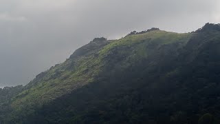 കാട്ടിലൂടെ ഒറ്റയ്ക്കുള്ള യാത്ര solo trip in forest