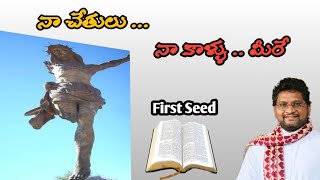 నా చేతులు ... నా కాళ్ళు .. మీరే / పునీత పేతురు, పౌల్ గార్ల ఉత్సవం || Fr Jeevan Babu P || First Seed