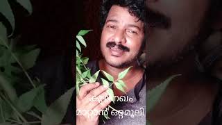 കുഴിനഖം മാറ്റാൻ simple ഒറ്റമൂലി. ആര്യവേപ്പിന്റെ (neem)ചില അപൂർവ ഗുണങ്ങൾ എന്തെന്നറിയു.