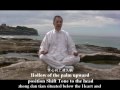 Master Chen Yong Fa teaching DVD series  Di Lohan Meditation 大羅漢靜功基本知識介紹