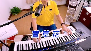 《萱草花》电子琴演奏