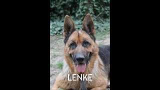 Lenke