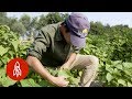 Adopted as a Baby,  a Farmer Digs Into Her Culture