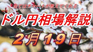 【FX】ドル円為替相場の予想と前日の動きをチャートから解説。日経平均、NYダウ、金チャートも。2月19日