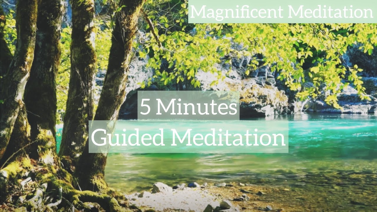 5 Minutes Guided Meditation Mindfulness Nature Youtube