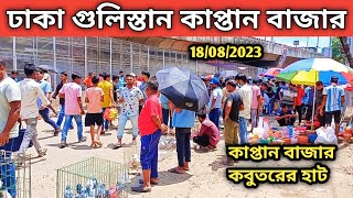 @ 18/08/23.ঢাকা গুলিস্তান কাপ্তান বাজার।কাপ্তান বাজার কবুতরের হাট।কম দামে কবুতর।pigeon price in bd