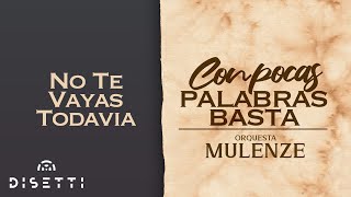 Orquesta La Mulenze - No Te Vayas Todavía | Salsa Romantica Con Letra