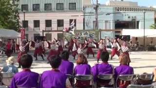 『小巻組』さん　2014　黒崎よさこい祭り