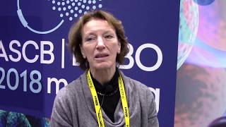 EMBO Director Maria Leptin on what makes the ASCB|EMBO Meeting special