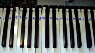 Yamaha Clavinova CLP-930 key repair and/or replacement. A DIY approach to fixing broken keys..