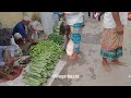 village vegetable market parbatipur dinajpur