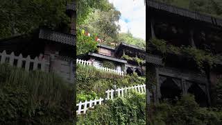 Is Landour worth visiting Reality about Landour Mussoorie reel vs real