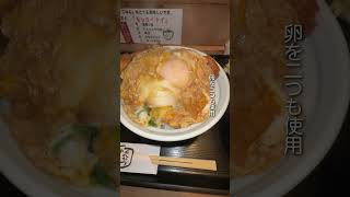 人生で間違えなく上位に入るかつ丼！　❗️