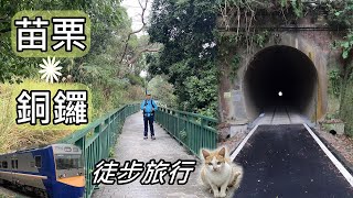 Miaoli~ Tongluo  Hiking Travel ~ Unexpected situations, unexpected incident (walking + train)