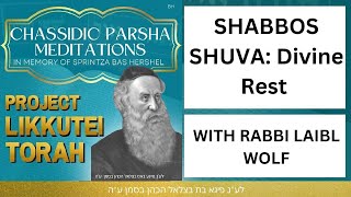 SHABBOS SHUVA: Divine Rest with Rabbi Laibl Wolf