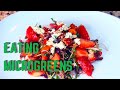 STRAWBERRY AND MICRO GREENS SALAD #shorts