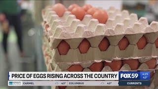 Local business raising prices for customers as egg costs more than double