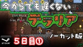 【実録】今からでも遅くない「テラリア」5日目① （もくじ付き）Terraria