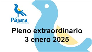 Pleno Extraordinario del 3 de enero de 2025