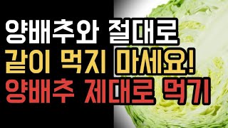 양배추 절대로 ‘이것과’ 같이 먹지 마세요! 제대로 양배추 먹기