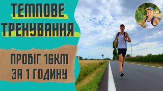 БІГОВЕ ТЕМПОВЕ ТРЕНУВАННЯ. ТЕМПОВИЙ БІГ. 16КМ ЗА 1 ГОДИНУ.