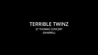 Terrible Twinz_Skarrel