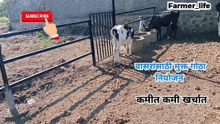 कालवडी साठी मुक्त संचार गोठा नियोजन|कालवड संगोपन|आजची कालवड उद्याची गाय|Farmer_life|#trending #viral