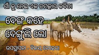 Gaon kabita। Village life। Village story। Odia kavita।odia best kavita। Odia kavita। Kavita odia।