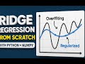 Ridge Regression from Scratch in Python | OLS Regularization Explained with Code