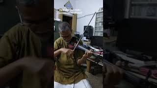 Electric violin