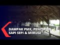 Tempat Penitipan Sapi Merugi, Sepi Hewan Ternak Akibat Wabah PMK!