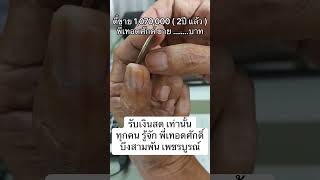 รับเงินสด เท่านั้นทุกคน รู้จัก พี่เทอดศักดิ์บึงสามพัน เพชรบูรณ์