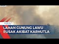 Kebakaran Hutan Gunung Lawu Meluas, Ratusan Hektare Lahan Rusak Terbakar