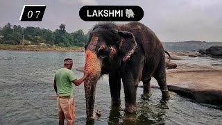 WORLD FAMOUS ELEPHANT OF HAMPI - LAKSHMI #manjeettripathi #elephantstables #hampitemples