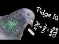 Pigeons are intelligent